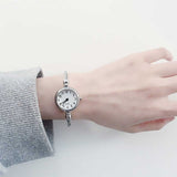 Stainless Steel Silver Mesh Watch