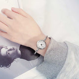 Stainless Steel Silver Mesh Watch